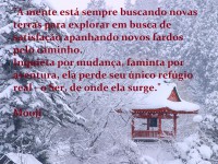 /album/mooji/a05yuki-kanetukido1-jpg/