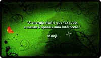 /album/mooji/bg-green-desktop-1280x720-hd-wallpaper-799460-jpg/