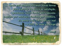 /album/mooji/fences-and-grass-jpg/